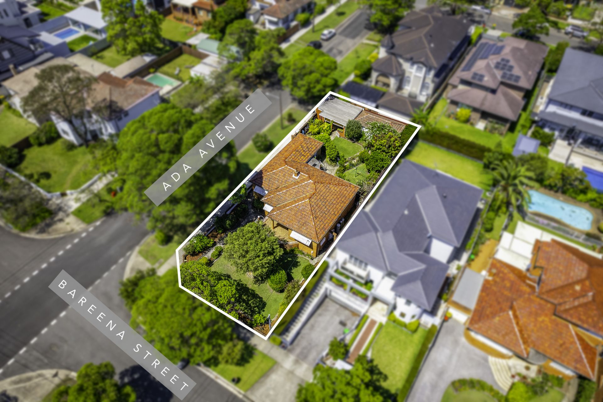 36 Bareena Street, Strathfield, Strathfield - Thumbnail 4