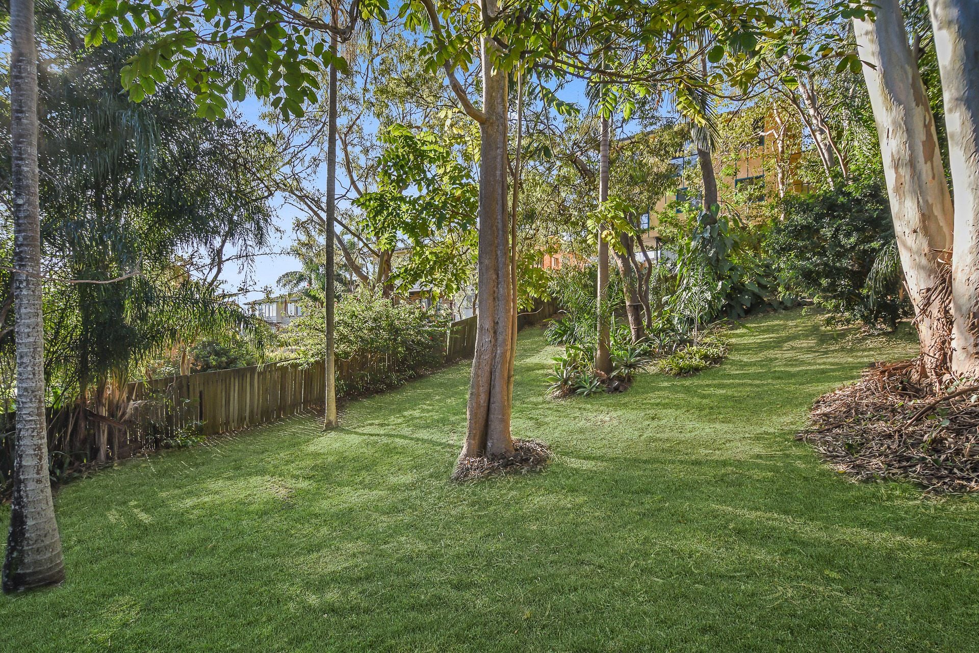 8 Arthur Street Caloundra QLD, Caloundra - Thumbnail 5