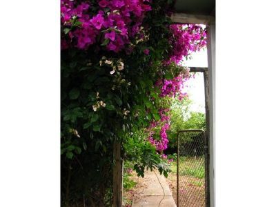 3
 
 
 
  
 
 
 2
 
 
 
  
 
 
 1
 
 
 
 
 
 
 
 9 Rose Court, DEVONPORT TAS 7310, Devonport - Thumbnail 7