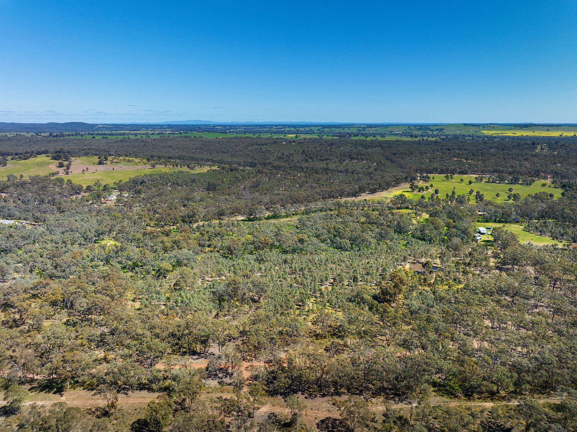 Lot 37E Mt. Camel - Graytown Road Redcastle, Redcastle - Thumbnail 6