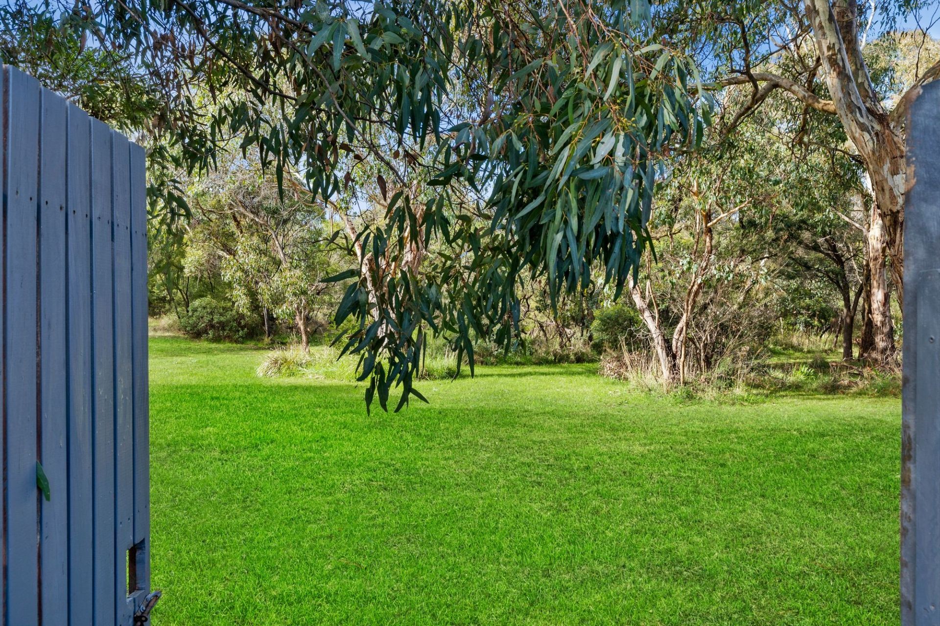 22 Grubb Road Ocean Grove VIC, Ocean Grove - Thumbnail 7
