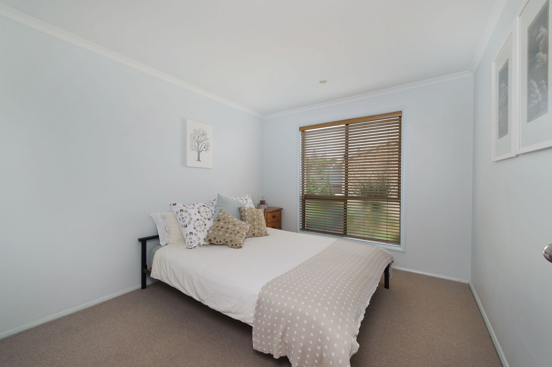 52 Bourne Street Port Macquarie NSW, Port Macquarie - Thumbnail 6