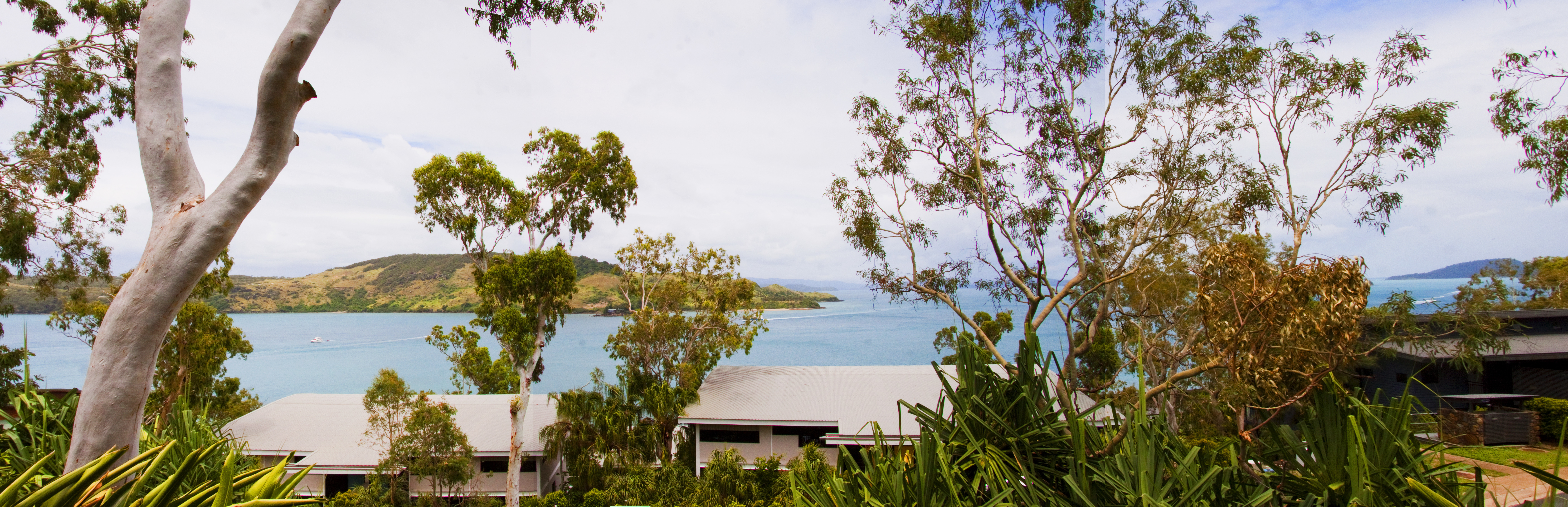 Real Estate For Sale 12 Heliconia Grove Hamilton Island , QLD