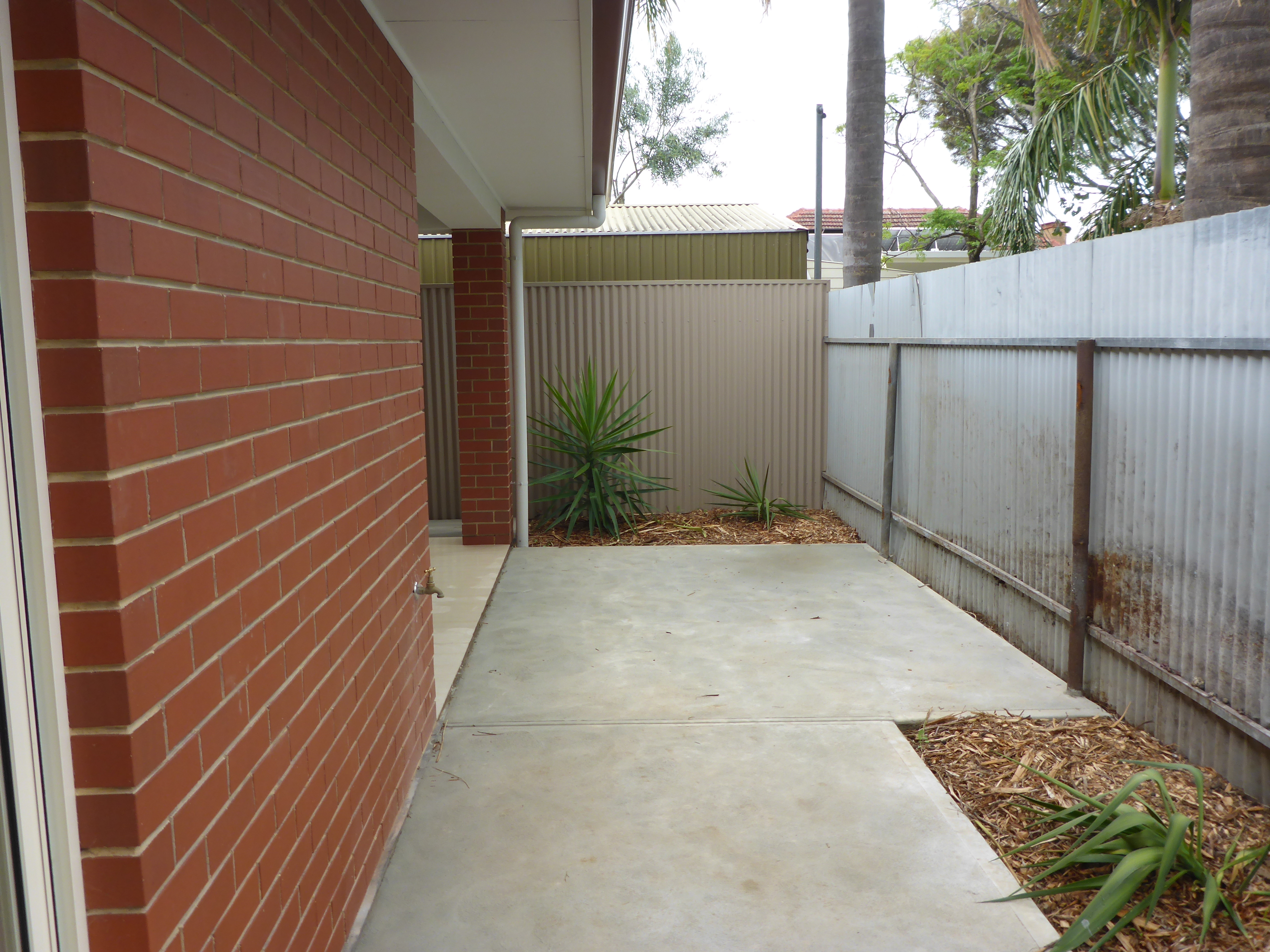 18 Thistle Avenue Flinders Park 5025
