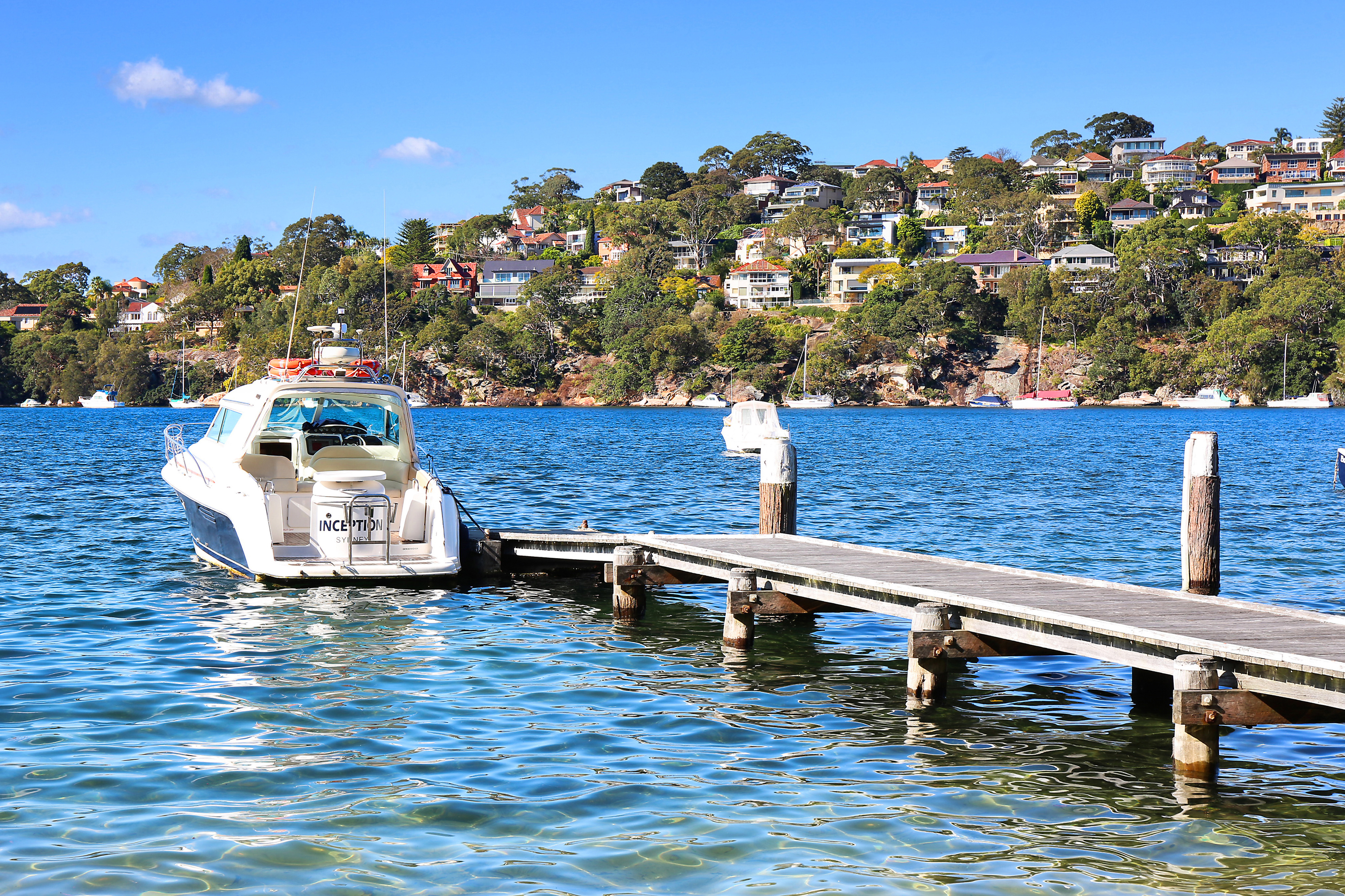 57  Coolawin Road  Northbridge 2063