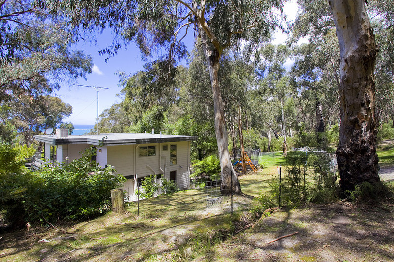 69 Deans Marsh Road, Lorne, VIC, Lorne - Thumbnail 7