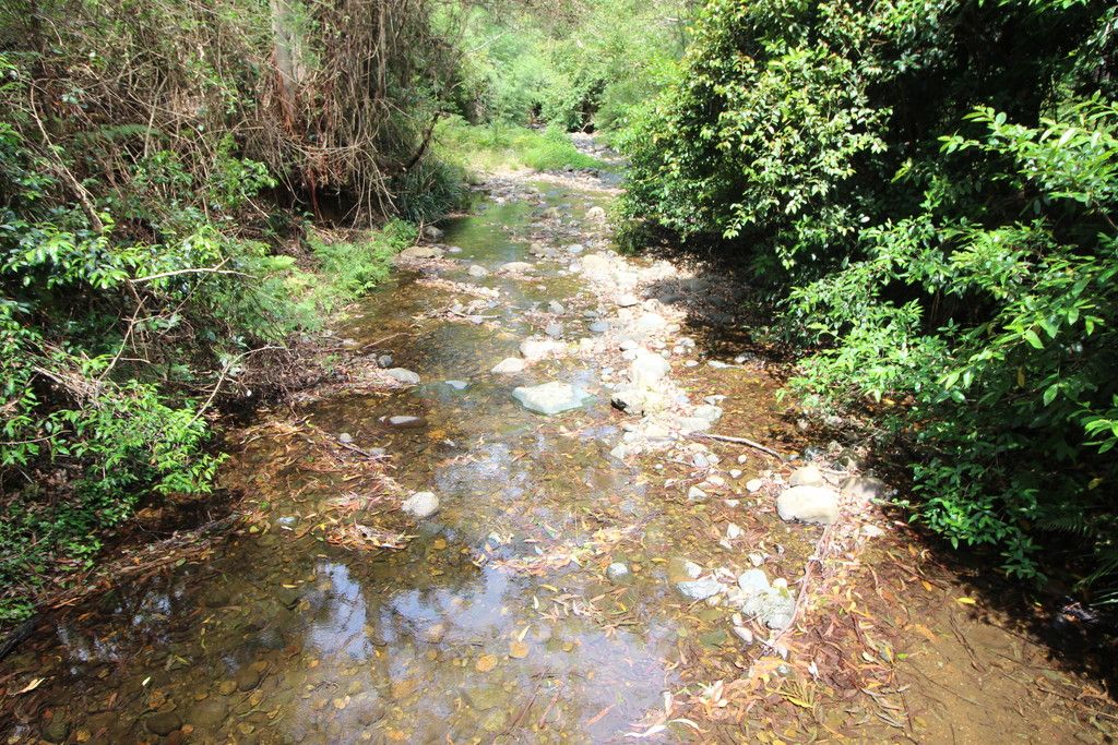 , ELLENBOROUGH NSW 2446