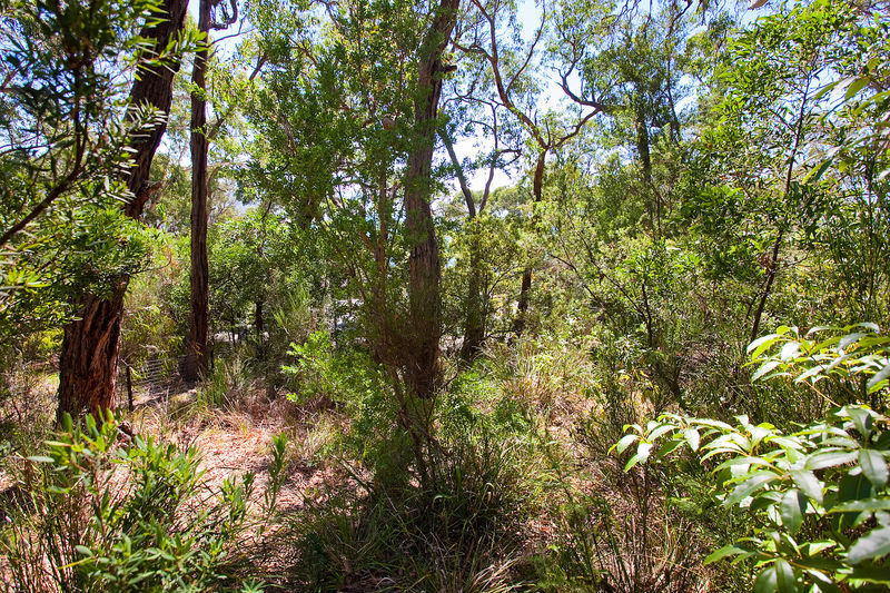 55 George Street, Lorne, VIC, Lorne - Thumbnail 6