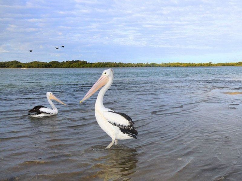 5/23 Maroochy Waters Drive MAROOCHYDORE QLD, Maroochydore - Thumbnail 4
