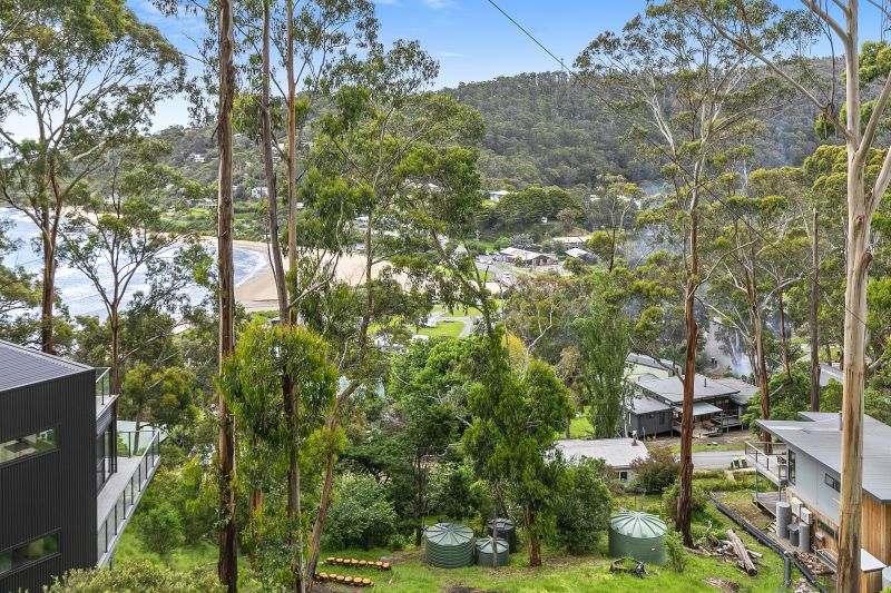 22 Durimbil Avenue, Wye River, VIC, Wye River - Thumbnail 3
