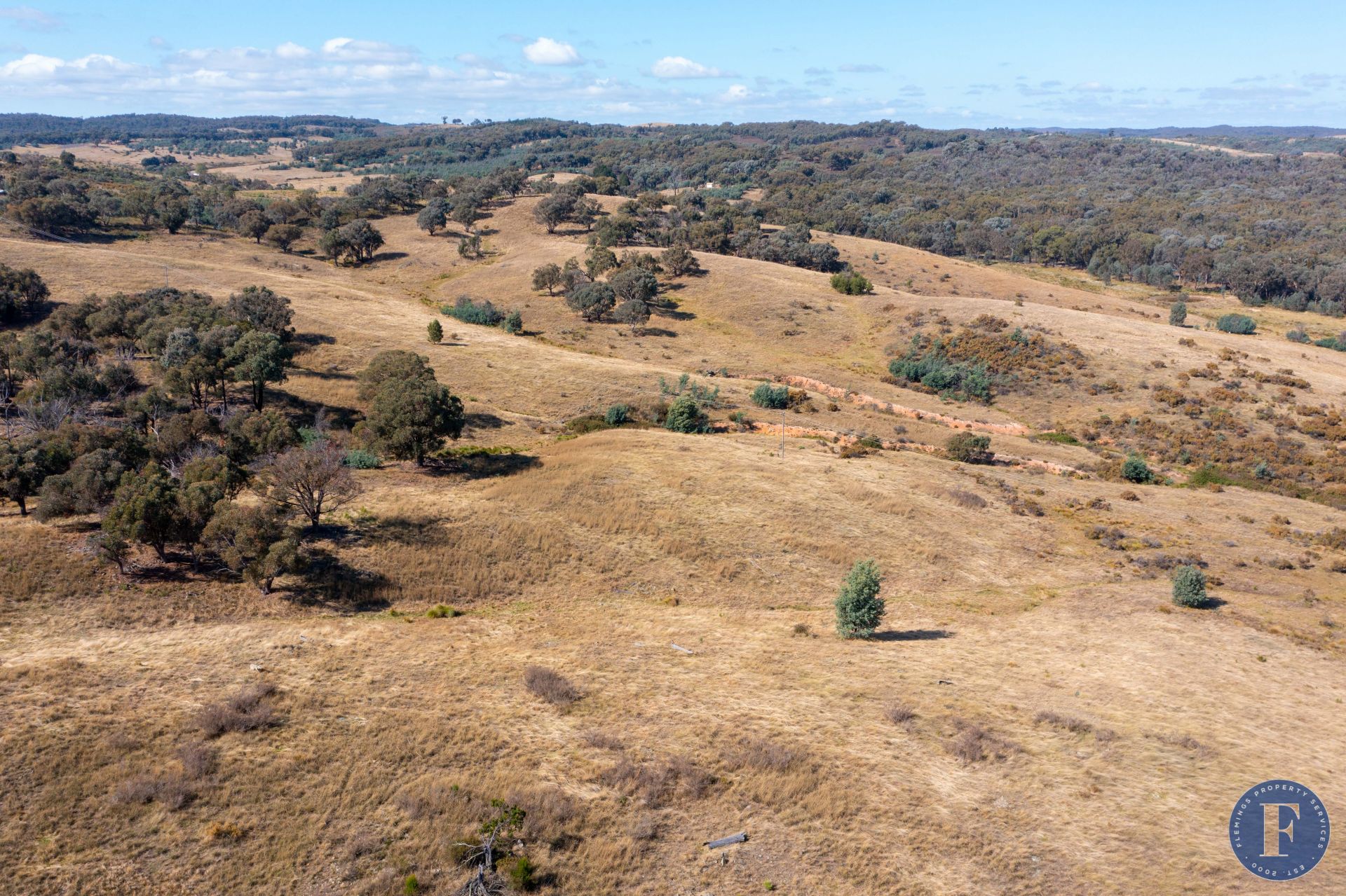 12 Taylors Flat Road, Frogmore NSW, Frogmore - Image 1