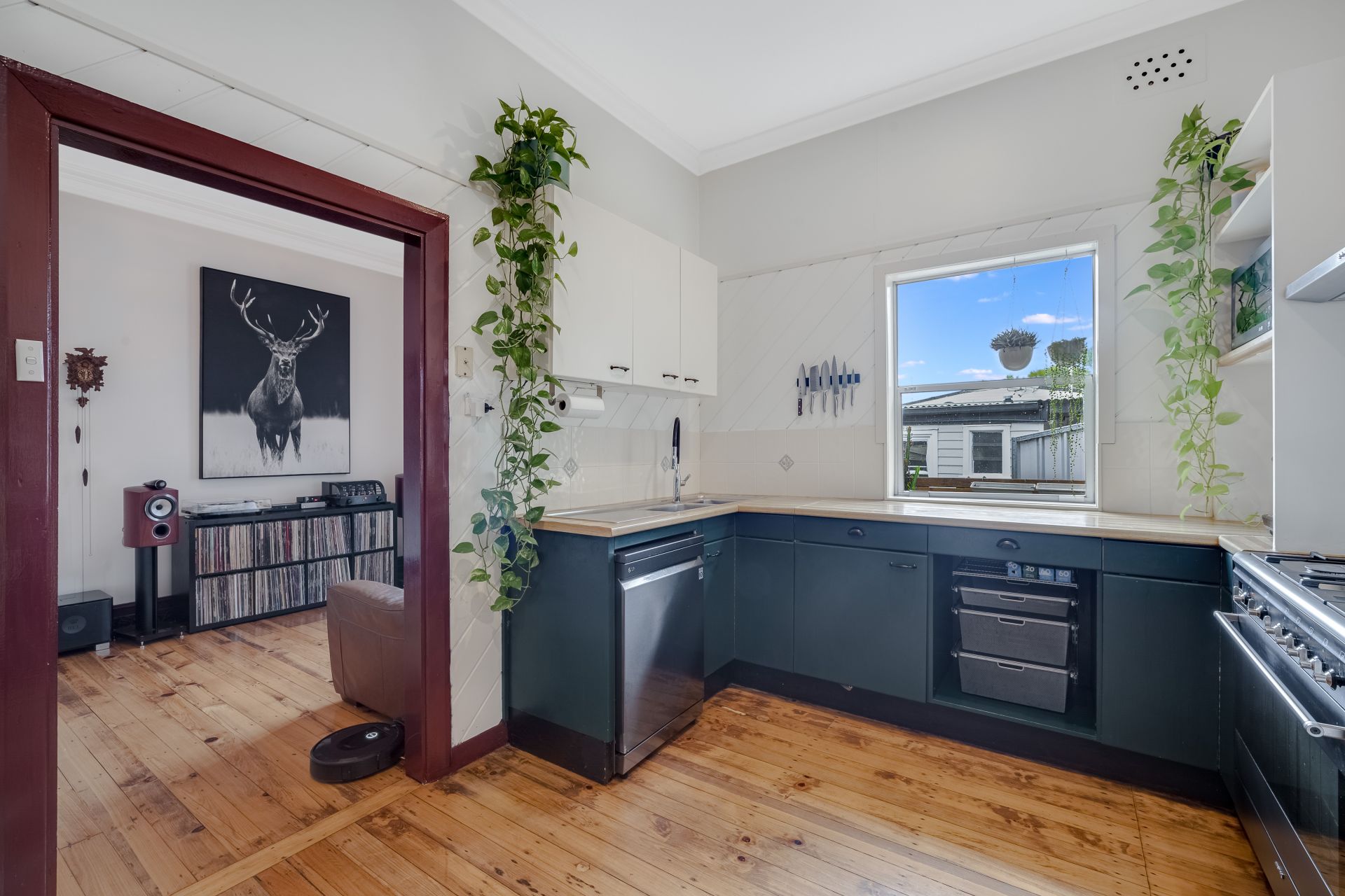 8 Camellia Street Cardiff NSW, Cardiff - Thumbnail 6