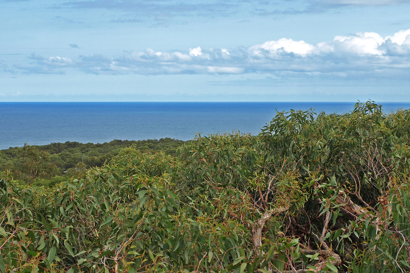 39 and 41  Second Avenue , Anglesea, VIC, Anglesea - Thumbnail 7