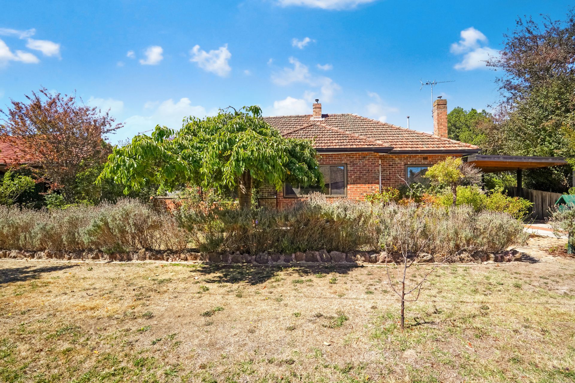 9 Collard Street, Newington, Newington - Thumbnail 5
