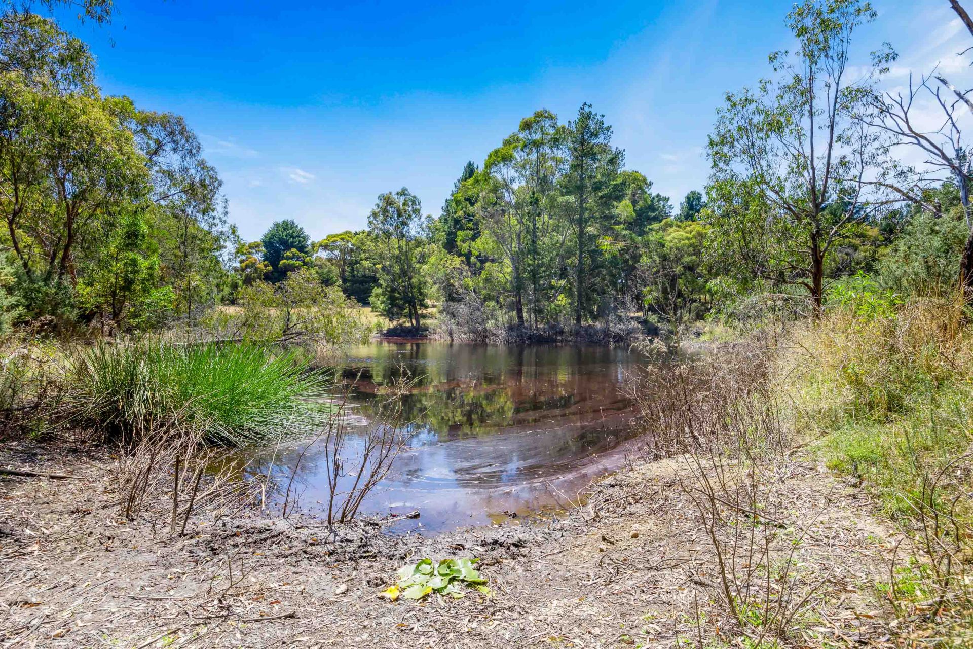 10 Nesbitts Road, Linton, Linton - Thumbnail 2