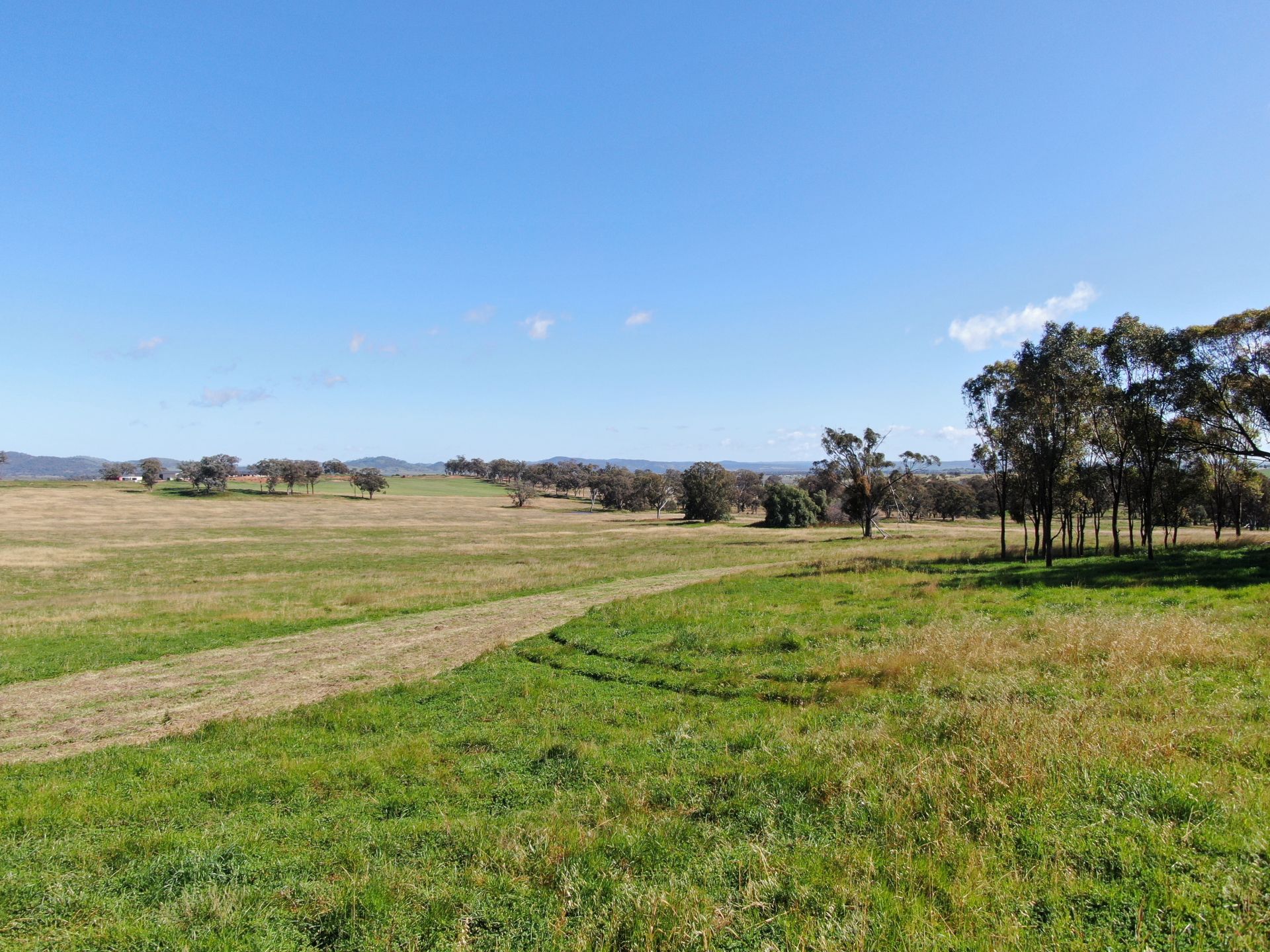 327 Springfield Lane, Mudgee, Mudgee - Thumbnail 5