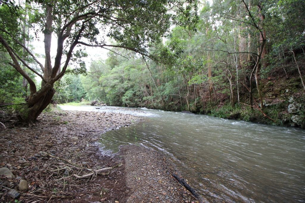 2595 Pappinbarra Rd, PAPPINBARRA NSW 2446