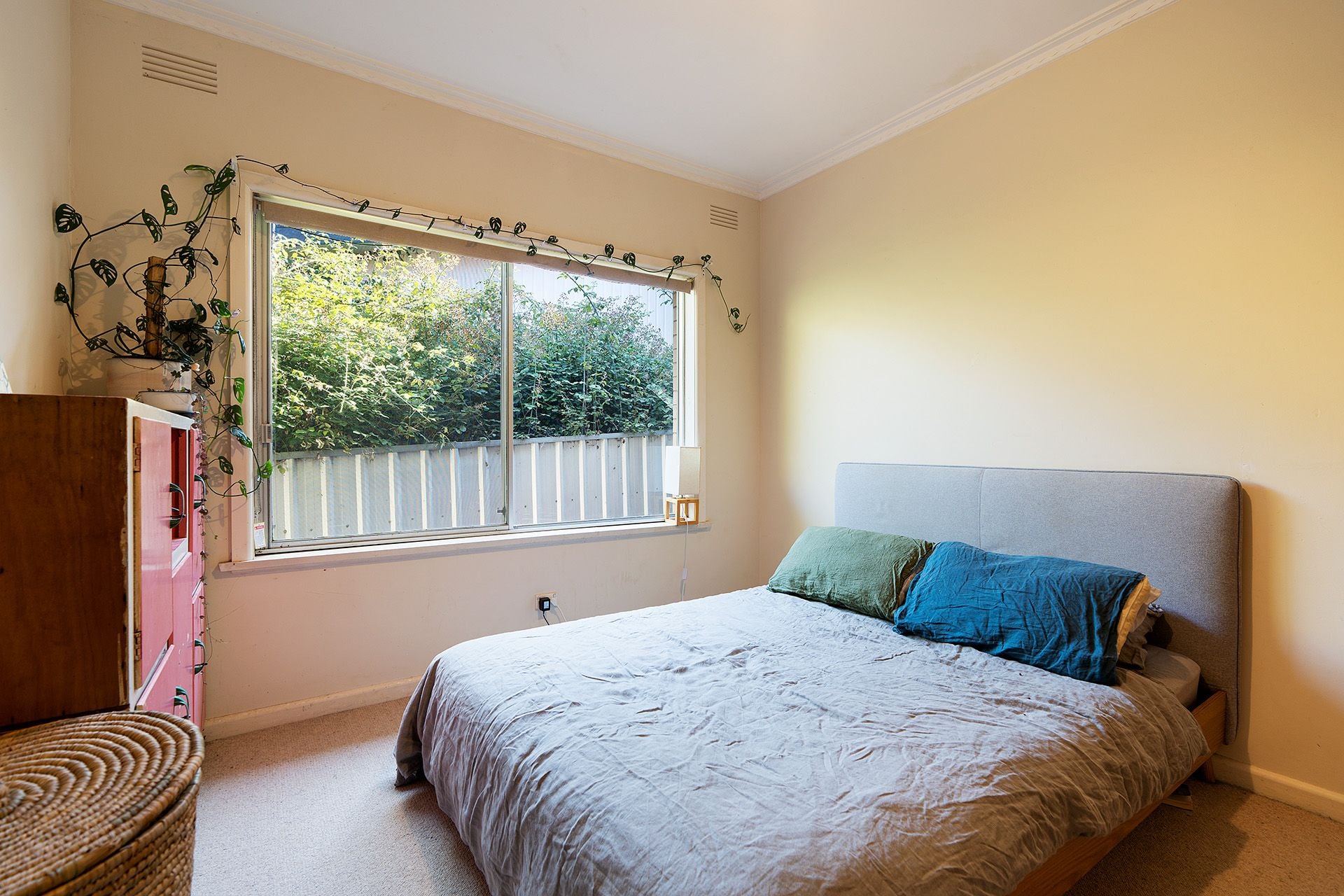 3 Merson Street, Castlemaine - Thumbnail 8