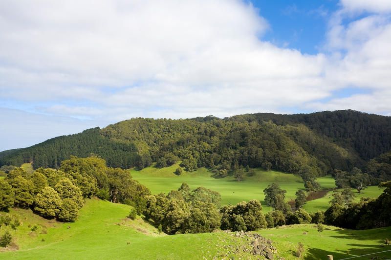 2805 Great Ocean Road, Glenaire - Image 1